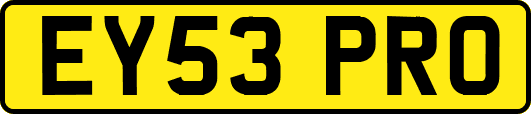EY53PRO