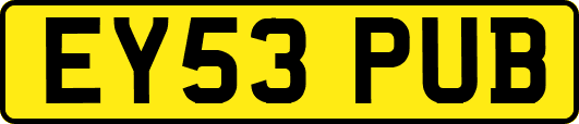 EY53PUB