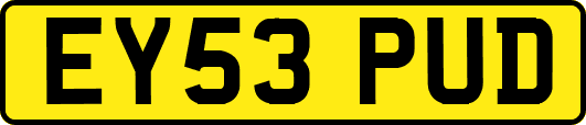 EY53PUD