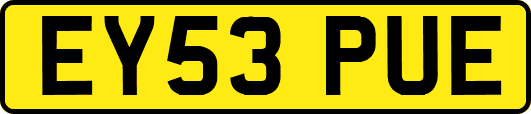 EY53PUE