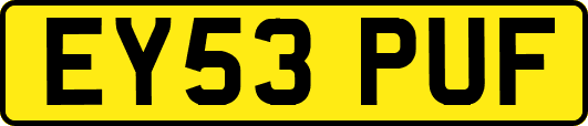 EY53PUF