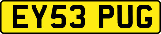 EY53PUG