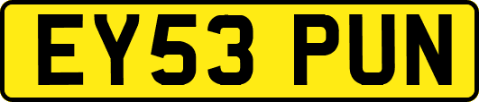 EY53PUN
