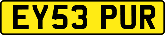 EY53PUR
