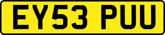 EY53PUU