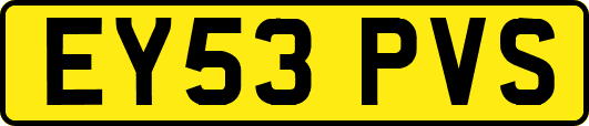 EY53PVS