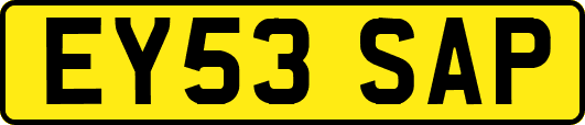 EY53SAP