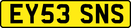 EY53SNS