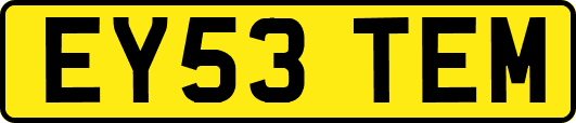 EY53TEM