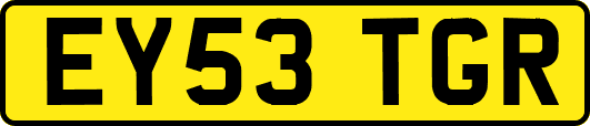 EY53TGR