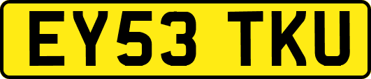 EY53TKU