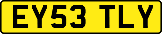 EY53TLY