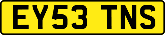 EY53TNS