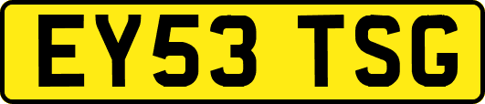 EY53TSG