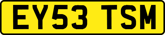 EY53TSM
