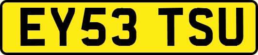 EY53TSU