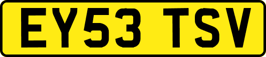 EY53TSV