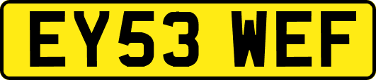 EY53WEF