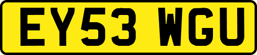 EY53WGU