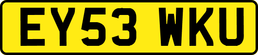 EY53WKU