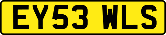 EY53WLS