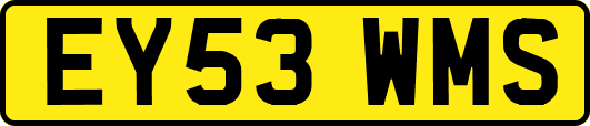 EY53WMS
