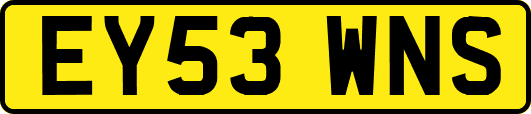 EY53WNS