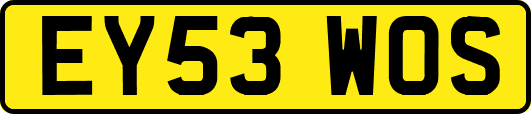 EY53WOS