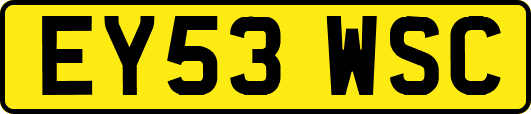 EY53WSC