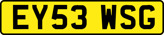 EY53WSG