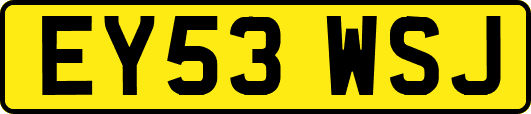 EY53WSJ