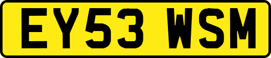 EY53WSM