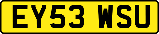 EY53WSU