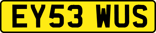 EY53WUS