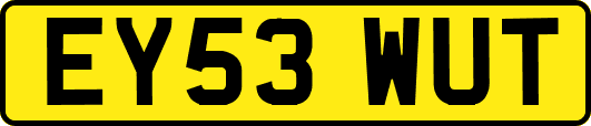 EY53WUT