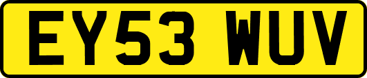 EY53WUV