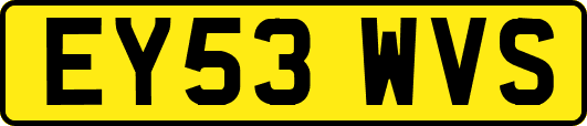 EY53WVS