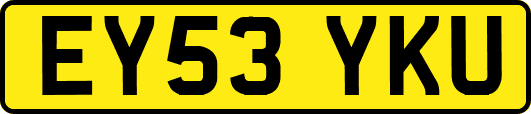 EY53YKU
