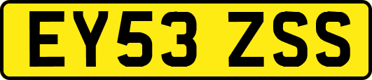 EY53ZSS