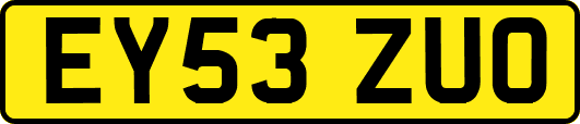 EY53ZUO