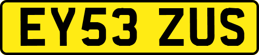 EY53ZUS
