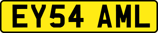 EY54AML
