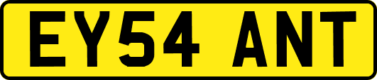 EY54ANT