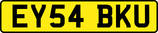 EY54BKU