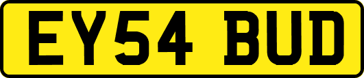 EY54BUD