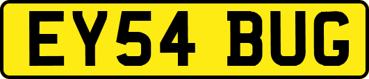 EY54BUG