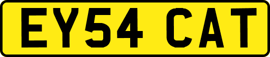 EY54CAT