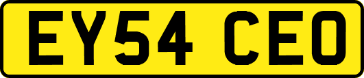 EY54CEO