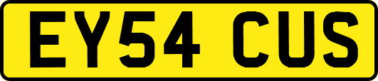 EY54CUS