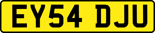 EY54DJU